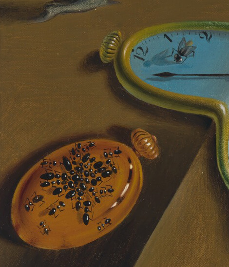 Ants found gathering on a melting clock in Dali's painting The Persistence of Memory