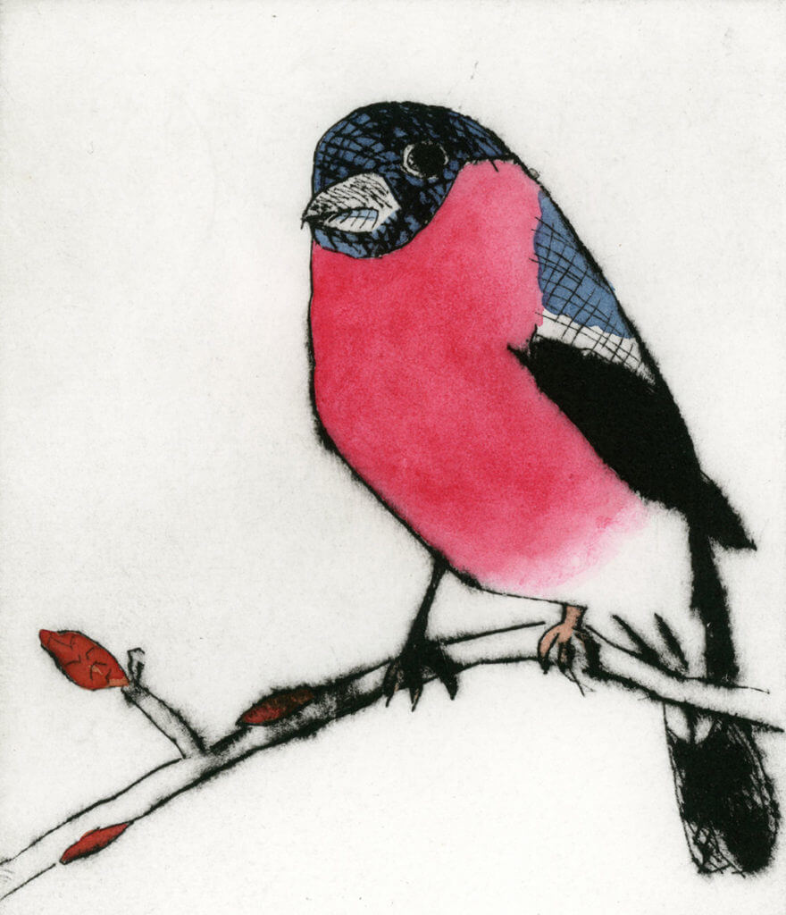 A red and black bird sitting on a branch