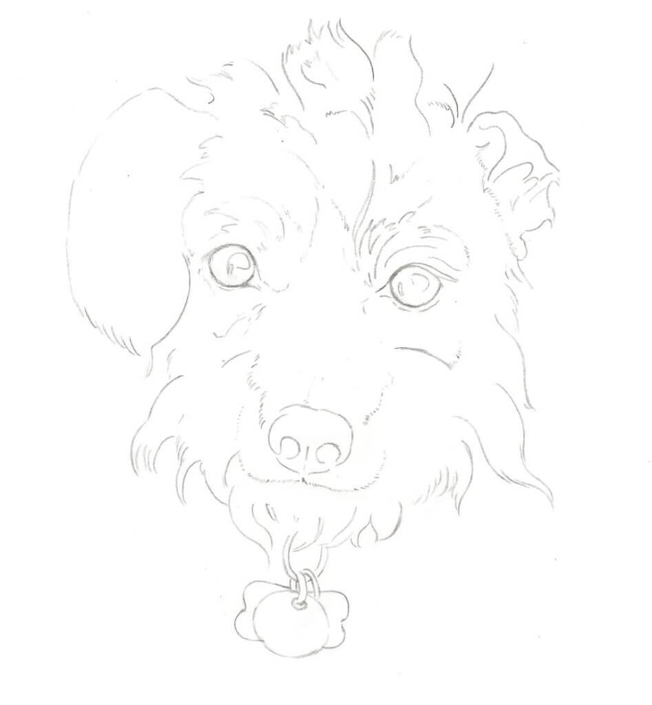 Final line drawing of a dog
