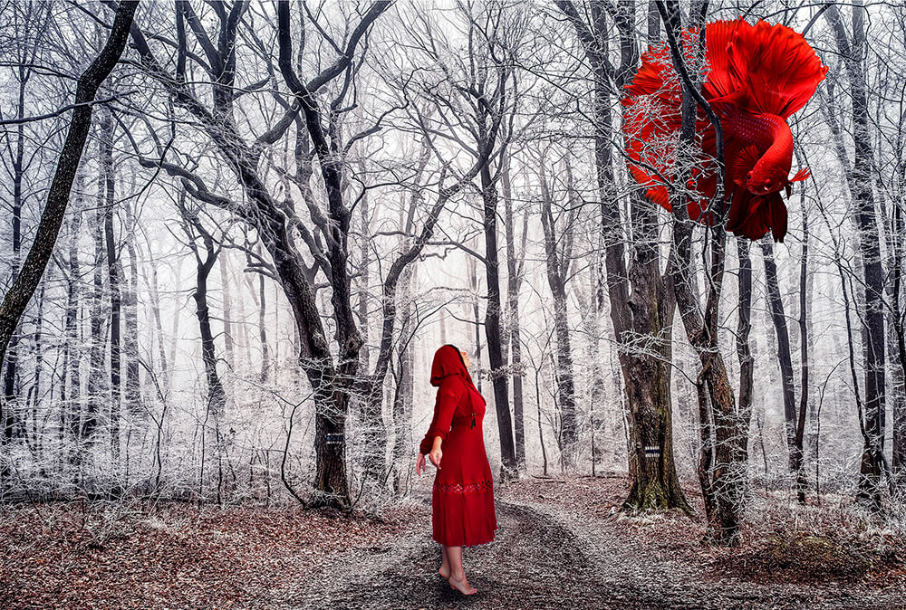 Photo illustration of a woman in a red coat and hood standing in a forest with ice-covered trees, while a huge red fish swims through the air around branches and tree trunks in mid-air.